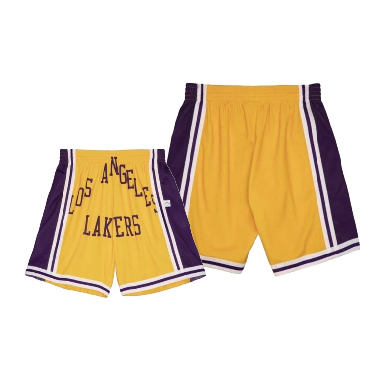 Men's Los Angeles Lakers NBA Blown Out Throwback Hardwood Classics Purple Basketball Shorts EYR7783TM